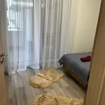 Brookforest Belvarosi 2 Debrecen